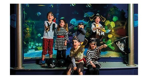 ARRR, Shiver Me Timbers! Half term is Pirate Week at The National SEA LIFE Centre Birmingham